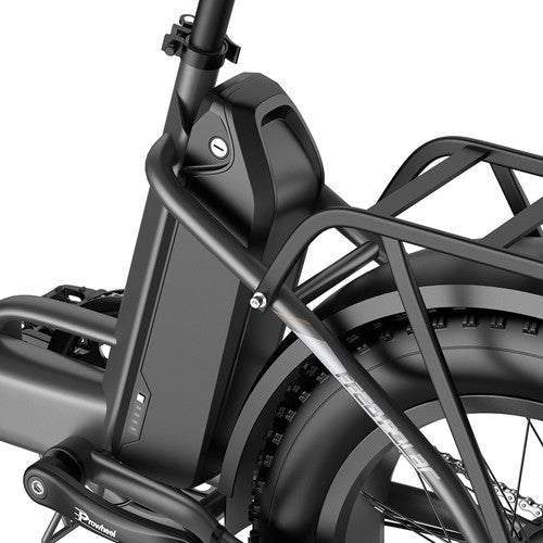 Fafrees FF20 Polar elektrische fiets, 500W motor, 48V 26,8Ah