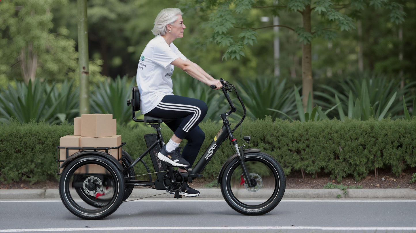 Onesport OT30 Pro elektrische fiets
