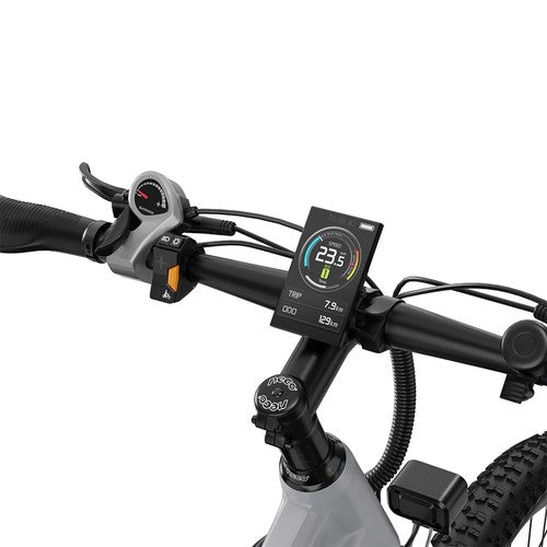 DUOTTS E29 elektrische fiets, 250W motor, 48V 13,5Ah accu, 70 cm