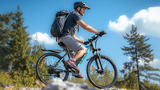 VARUN M27-1 Elektrische Fiets 250W