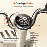 iScooter Y16 Elektrische Scooter 1200W