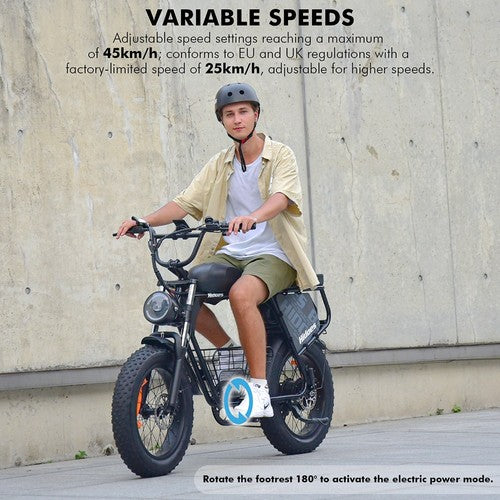 Hidoes B9 elektrische fiets, 750W motor, 48V 18.2Ah+15.6Ah dubbele accu