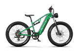 DUOTTS E26 elektrische fiets