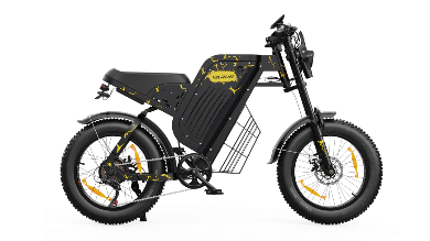 VARUN X-PLORER RAPTOR elektrische fiets 48V 20.8A