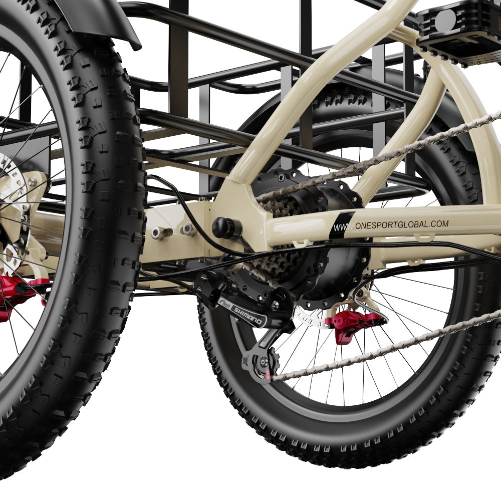 Onesport OT30 Pro elektrische fiets