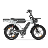PIXAR® M9 Retro Elektrische Fiets 2× 48 V17.5Ah
