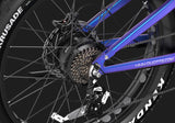 DUOTTS E26 elektrische fiets