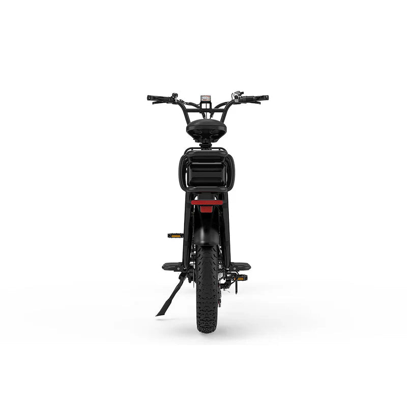 KOOLUX X8 FAT TYRE CARGO Elektrische fiets 64Ah