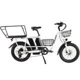 PHILODO Traveller elektrische fiets voor het hele gezin en met bagage.