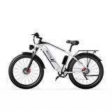DUOTTS F26 PRO 750 W*2 elektrische fiets