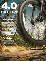 Burchda RX02 elektrische fiets 1000W