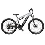DUOTTS E29 elektrische fiets, 250W motor, 48V 13,5Ah accu, 70 cm