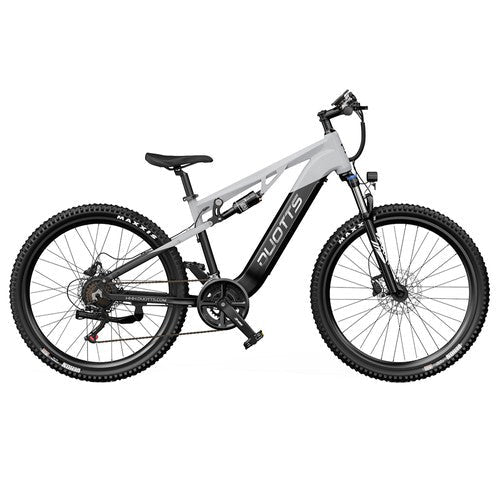 DUOTTS E29 elektrische fiets, 250W motor, 48V 13,5Ah accu, 70 cm