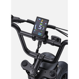 ENGWE M1 elektrische fiets 15,6 Ah 