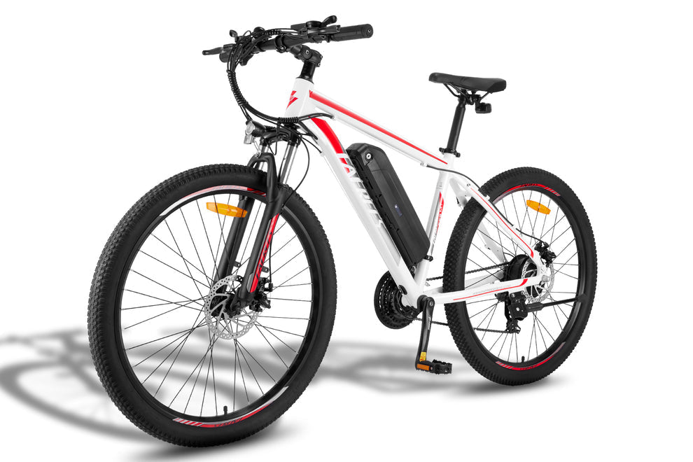 FAFREES F28 MT elektrische fiets 