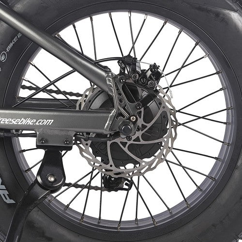 Fafrees F20 Ultra elektrische fiets (versie met verbeterde remmen), 750W motor, 48V 25Ah