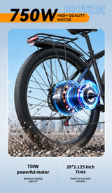 DUOTTS C29L Elektrische Fiets