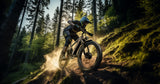 DUOTTS F26 PRO 750 W*2 elektrische fiets