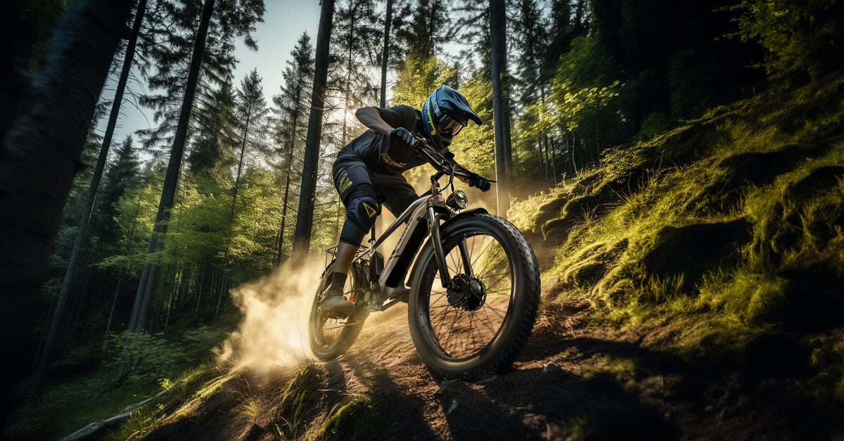 DUOTTS F26 PRO 750 W*2 elektrische fiets
