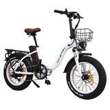 DRVETION CT20 elektrische fiets, 750W motor, topsnelheid 45km/u, 48V 15Ah Samsung