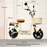 iScooter Y16 Elektrische Scooter 1200W