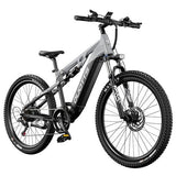 DUOTTS E29 elektrische fiets, 250W motor, 48V 13,5Ah accu, 70 cm