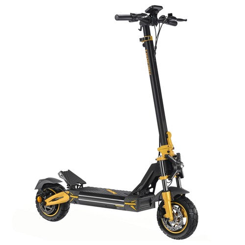 TWOFISH V2 MAX elektrische scooter, 800W motor, 48V 20Ah