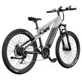 DUOTTS E29 elektrische fiets, 250W motor, 48V 13,5Ah accu, 70 cm