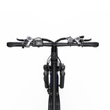 DUOTTS C29L Elektrische Fiets