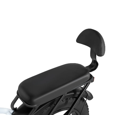 Rattan LF Pro elektrische fiets 250W