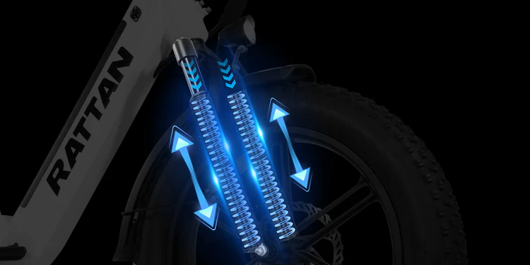 Rattan LF Pro elektrische fiets 250W