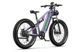DUOTTS E26 elektrische fiets