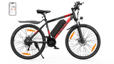 VARUN M27-1 Elektrische Fiets 250W
