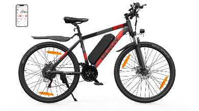 VARUN M27-1 Elektrische Fiets 250W