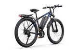 DUOTTS C29 Pro elektrische fiets 750W 15Ah 