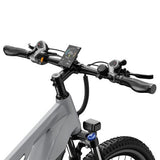 DUOTTS E29 elektrische fiets, 250W motor, 48V 13,5Ah accu, 70 cm