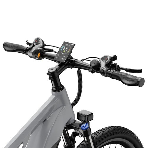 DUOTTS E29 elektrische fiets, 250W motor, 48V 13,5Ah accu, 70 cm
