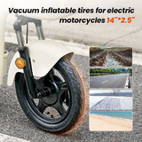 iScooter Y16 Elektrische Scooter 1200W
