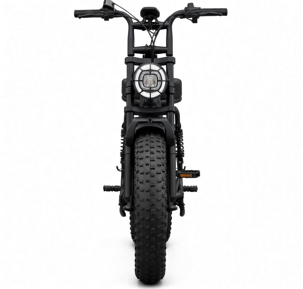 SAIBAIKE R7 Elektrische Fiets 750W