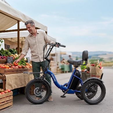 APEFOX RH30 Opvouwbare Elektrische Driewieler Fiets met Achtermand