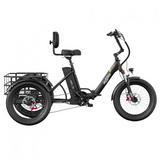 ONESPORT OT30 PRO Driewielige Elektrische Fiets