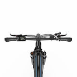 DUOTTS C29 Max elektrische fiets, 250W motor, 48V 18Ah