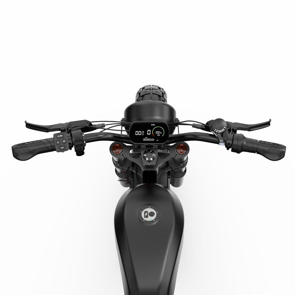 DUOTTS F20 elektrische fiets 27Ah 750W