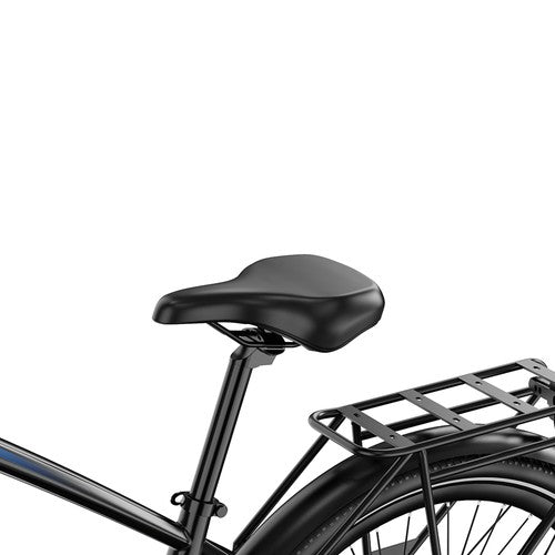 DUOTTS C29 Max elektrische fiets, 250W motor, 48V 18Ah