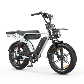 PIXAR® M9 Retro Elektrische Fiets 2× 48 V17.5Ah