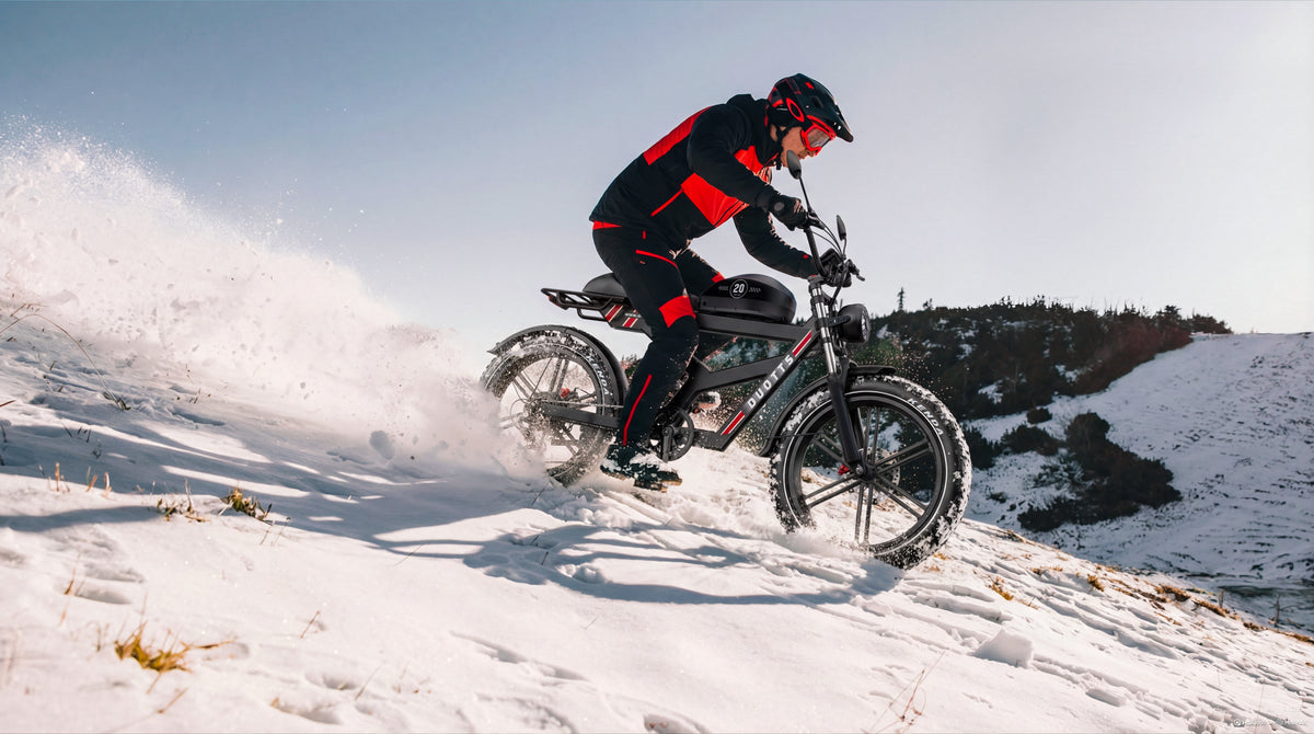 DUOTTS F20 elektrische fiets 27Ah 750W