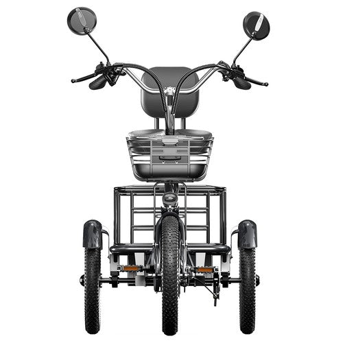 Cysum T1 Pro elektrische driewieler, 250W motor, 48V 22Ah