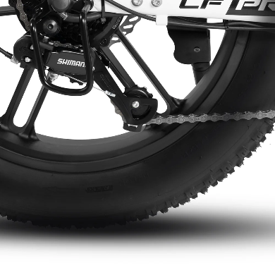 Rattan LF Pro elektrische fiets 250W