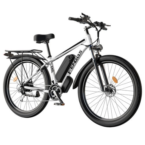 FENGQS Q8 elektrische fiets, 750W motor, 48V 17,5Ah, 50 km/u