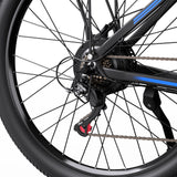 DUOTTS C29L Elektrische Fiets
